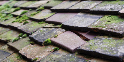 Bryngwran roof repair costs